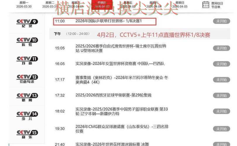 世界杯官方信息来临，世界杯买球平台赛事直播+直播与平台选择解析